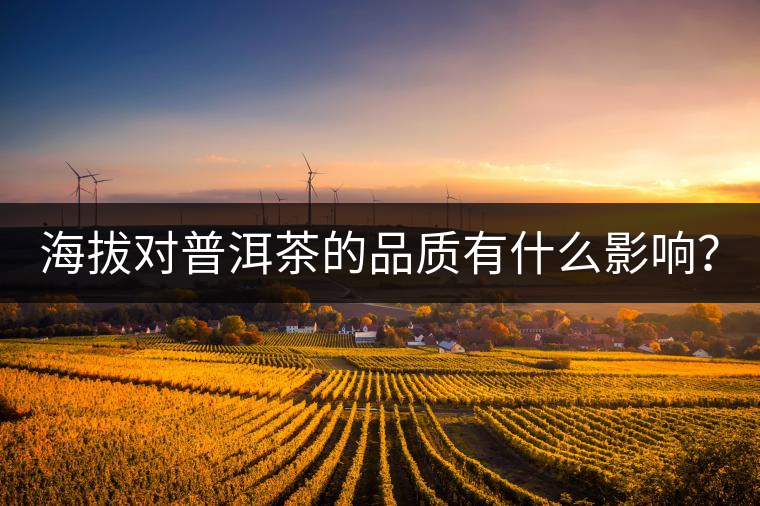 海拔對(duì)普洱茶的品質(zhì)有什么影響？
