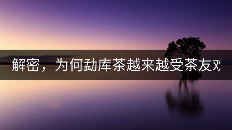 解密，為何勐庫茶越來越受茶友歡迎！