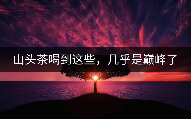 山頭茶喝到這些，幾乎是巔峰了