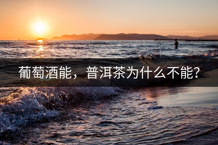 葡萄酒能，普洱茶為什么不能？