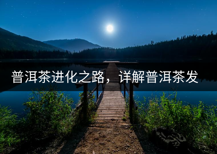 普洱茶進(jìn)化之路，詳解普洱茶發(fā)展的三大重要階段