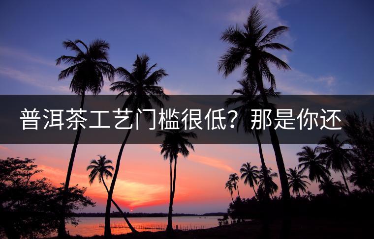 普洱茶工藝門檻很低？那是你還沒有參透工藝與自然之間的奧秘！