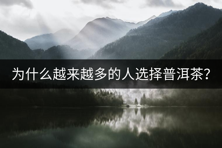 為什么越來(lái)越多的人選擇普洱茶？