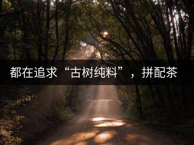 都在追求“古樹純料”，拼配茶真的不如純料的？