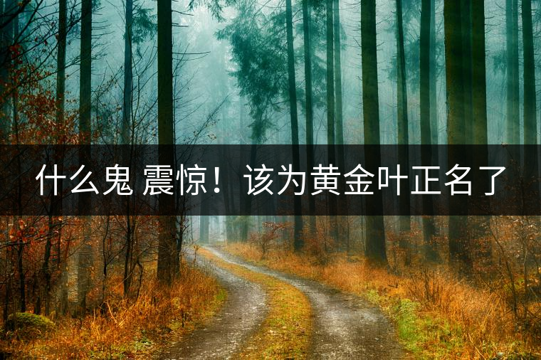 什么鬼 震驚!該為黃金葉正名了 什么鬼 震驚!該為黃金葉正名了