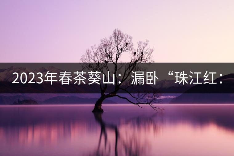 2023年春茶葵山：漏臥“珠江紅：1200元-3200元（有3個(gè)檔次）漏臥“大廠茶”：古樹(shù)單株8600-9000元／公斤，中樹(shù)4800-5200元／公斤，小樹(shù)混采2600-2800元／公斤。