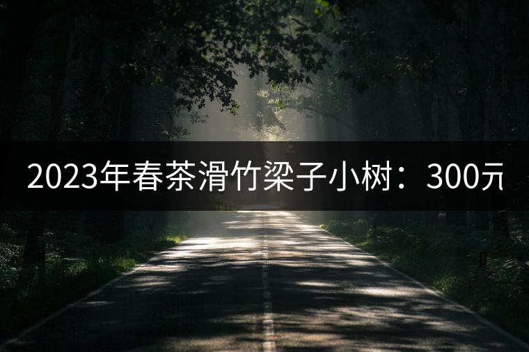 2023年春茶滑竹梁子小樹:300元/公斤 古樹:900-1200元/公斤 2023年春茶滑竹梁子小樹:300元/公斤 古樹:900-1200元/公斤