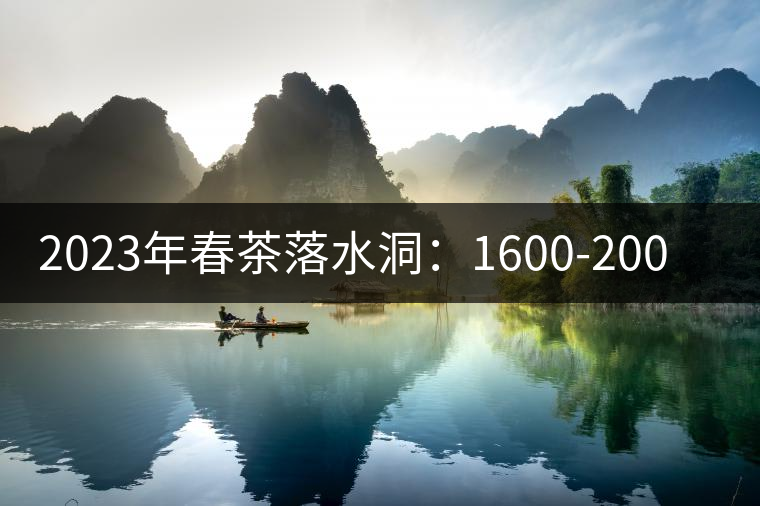 2023年春茶落水洞:1600-2000元/公斤 2023年春茶落水洞:1600-2000元/公斤