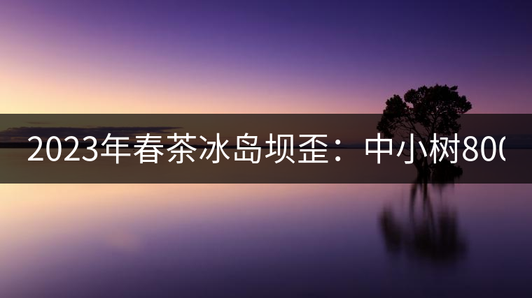 2023年春茶冰島壩歪：中小樹800元／公斤，古樹1400-1600元／公斤