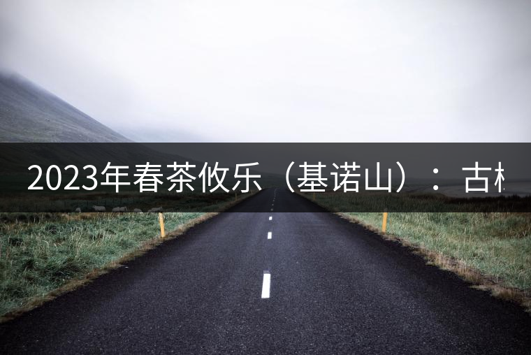 2023年春茶攸樂（基諾山）：古樹1200元／公斤，喬木：400-500元／公斤