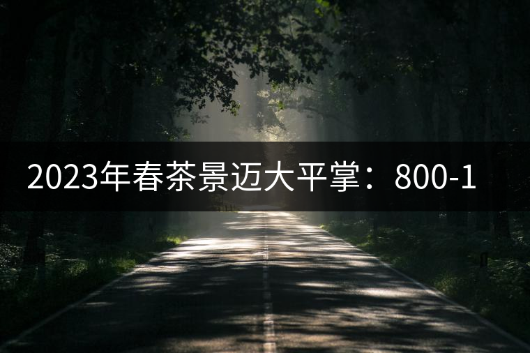 2023年春茶景邁大平掌:800-1000元/公斤 2023年春茶景邁大平掌:800-1000元/公斤