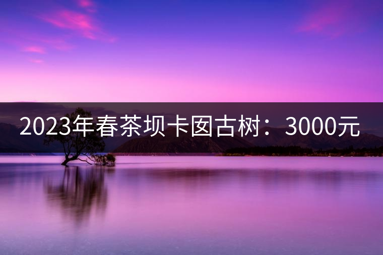 2023年春茶壩卡囡古樹:3000元/kg小樹:1200元/Kg 2023年春茶壩卡囡古樹:3000元/kg小樹:1200元/Kg