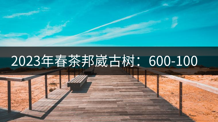 2023年春茶邦崴古樹:600-1000元/公斤 2023年春茶邦崴古樹:600-1000元/公斤