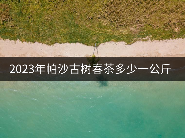 2023年帕沙古樹春茶多少一公斤？