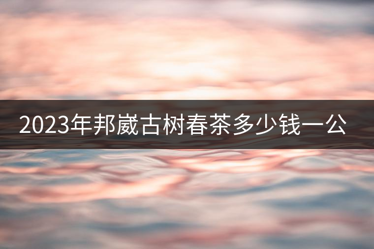 2023年邦崴古樹(shù)春茶多少錢一公斤? 2023年邦崴古樹(shù)春茶多少錢一公斤?