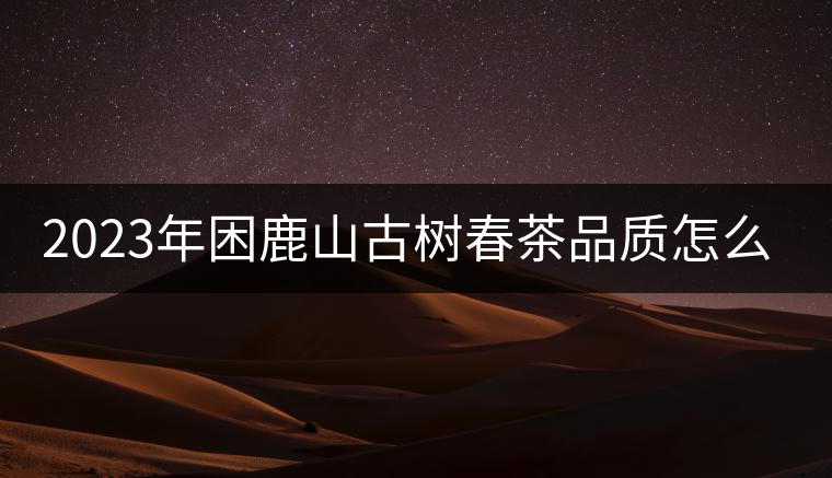 2023年困鹿山古樹(shù)春茶品質(zhì)怎么樣? 2023年困鹿山古樹(shù)春茶品質(zhì)怎么樣?