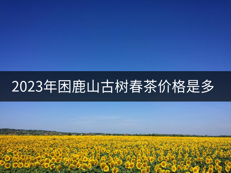2023年困鹿山古樹春茶價格是多少？