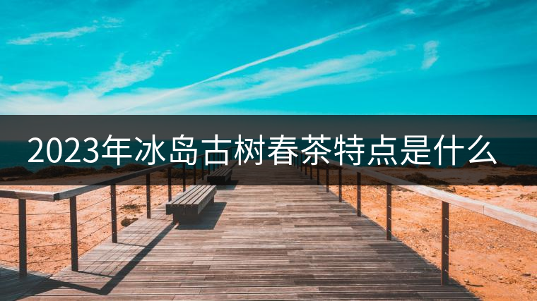 2023年冰島古樹春茶特點(diǎn)是什么？