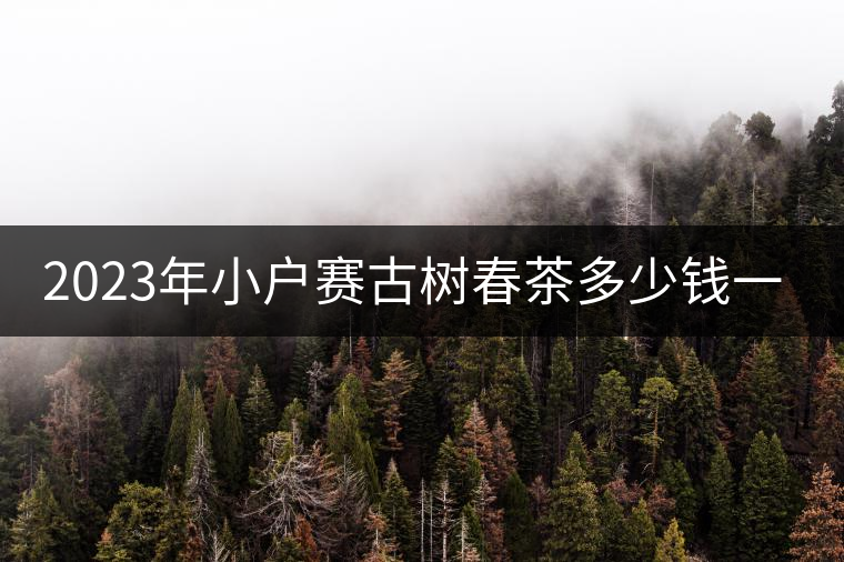 2023年小戶賽古樹春茶多少錢一公斤? 2023年小戶賽古樹春茶多少錢一公斤?