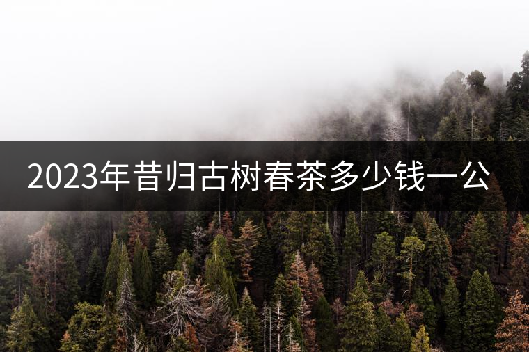 2023年昔歸古樹(shù)春茶多少錢(qián)一公斤？