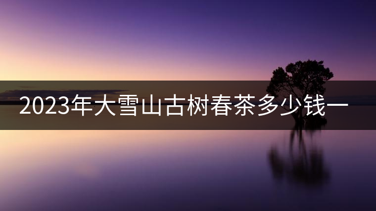 2023年大雪山古樹春茶多少錢一公斤？