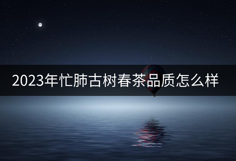 2023年忙肺古樹春茶品質怎么樣？