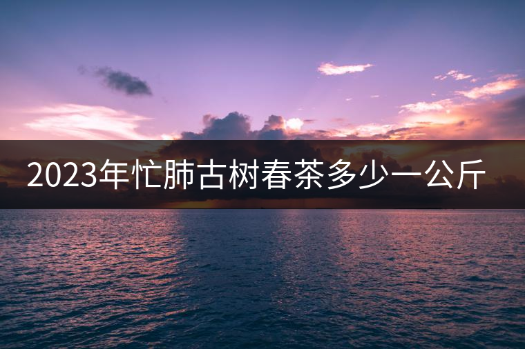 2023年忙肺古樹(shù)春茶多少一公斤？