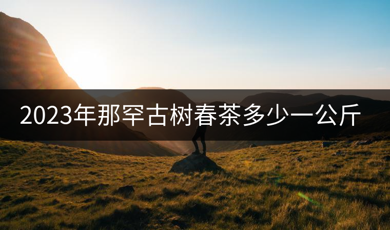 2023年那罕古樹春茶多少一公斤? 2023年那罕古樹春茶多少一公斤?