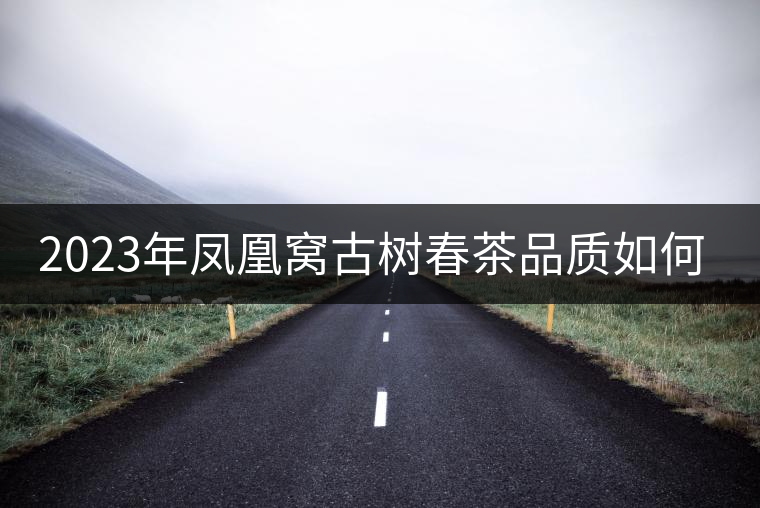 2023年鳳凰窩古樹春茶品質(zhì)如何？