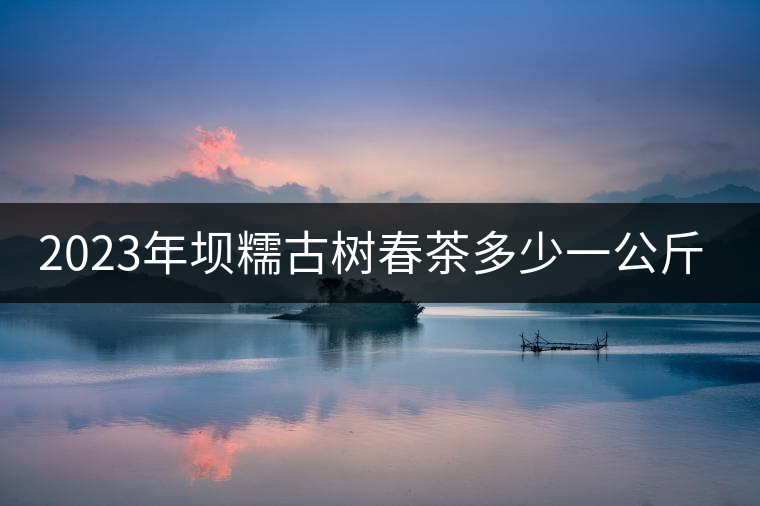 2023年壩糯古樹(shù)春茶多少一公斤？
