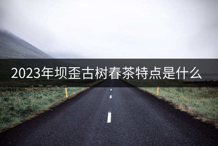 2023年壩歪古樹春茶特點是什么? 2023年壩歪古樹春茶特點是什么?