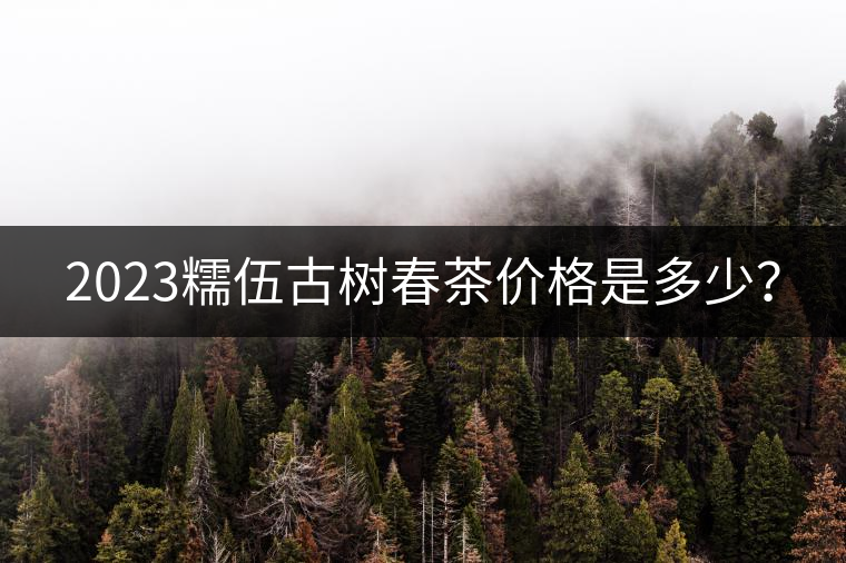 2023糯伍古樹(shù)春茶價(jià)格是多少？