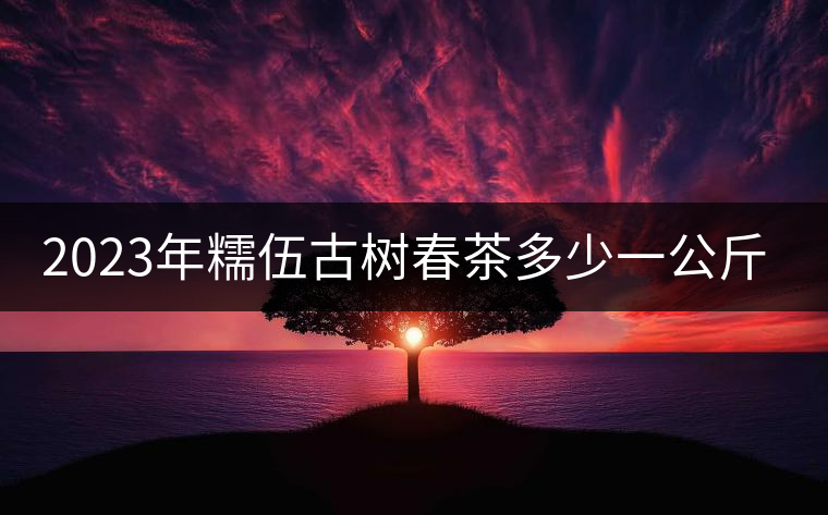 2023年糯伍古樹春茶多少一公斤？