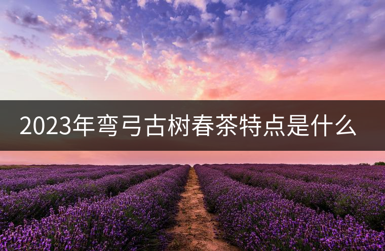 2023年彎弓古樹(shù)春茶特點(diǎn)是什么? 2023年彎弓古樹(shù)春茶特點(diǎn)是什么?