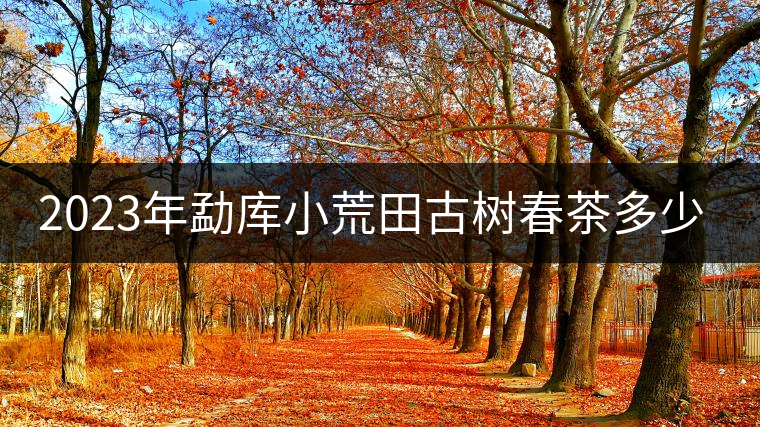 2023年勐庫小荒田古樹春茶多少一公斤？