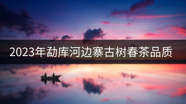 2023年勐庫(kù)河邊寨古樹春茶品質(zhì)如何？
