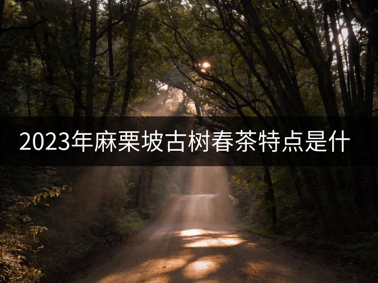 2023年麻栗坡古樹春茶特點是什么? 2023年麻栗坡古樹春茶特點是什么?