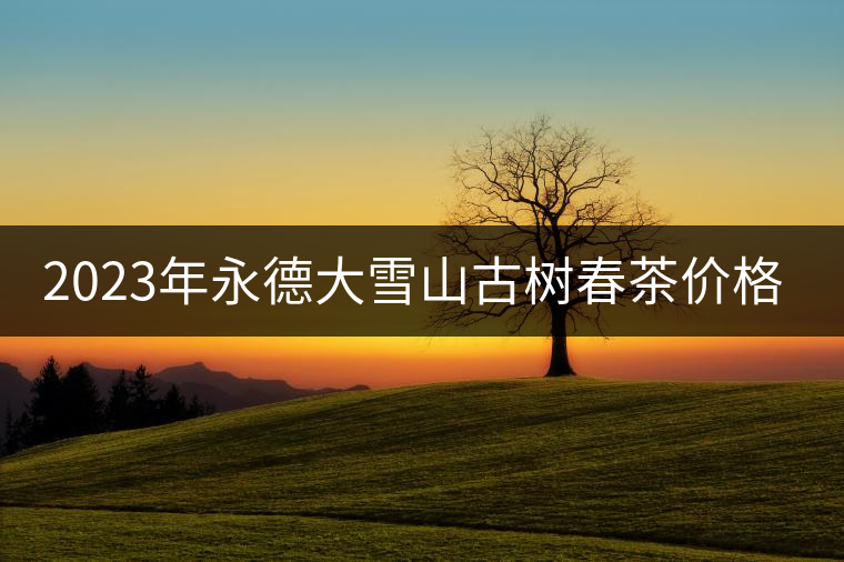 2023年永德大雪山古樹春茶價格是多少？