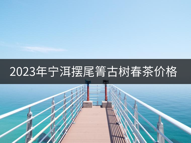 2023年寧洱擺尾箐古樹(shù)春茶價(jià)格是多少？