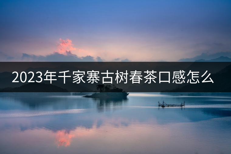 2023年千家寨古樹春茶口感怎么樣? 2023年千家寨古樹春茶口感怎么樣?