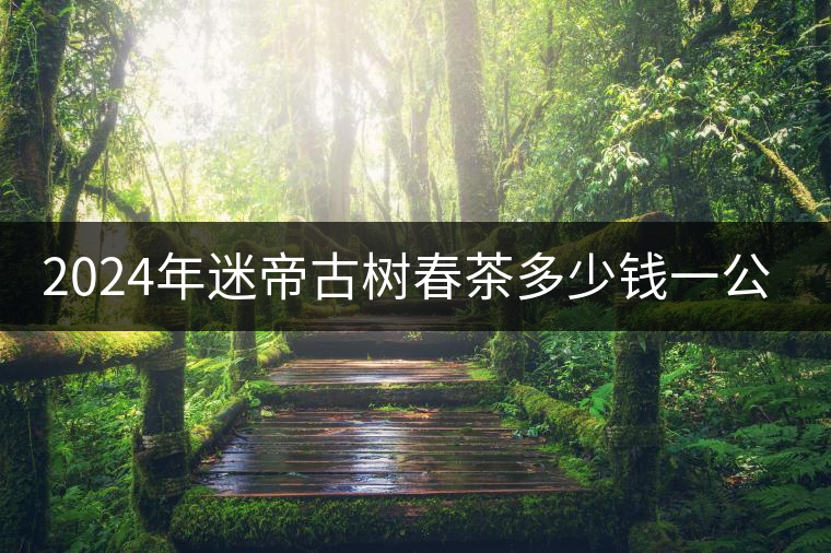 2024年迷帝古樹(shù)春茶多少錢(qián)一公斤？