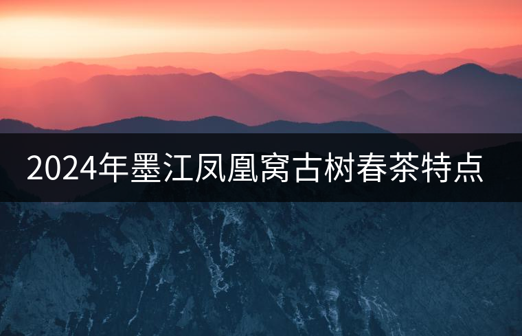 2024年墨江鳳凰窩古樹春茶特點是什么？