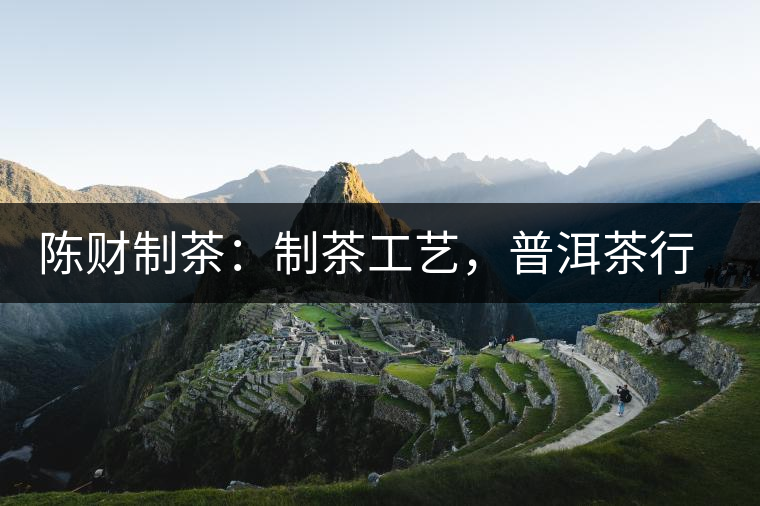 陳財(cái)制茶：制茶工藝，普洱茶行業(yè)的生死線