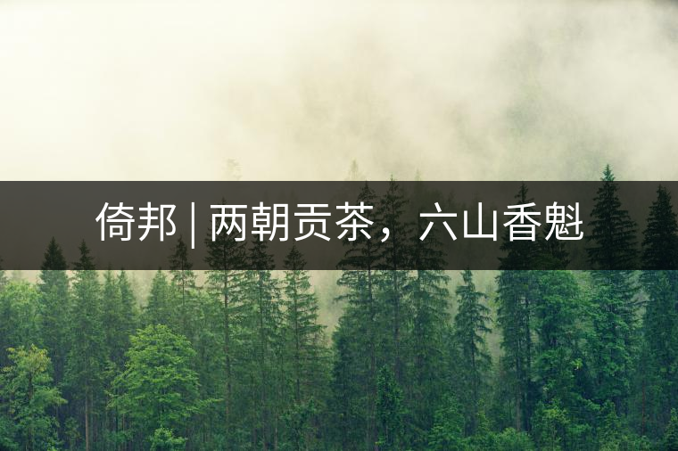 倚邦 | 兩朝貢茶，六山香魁