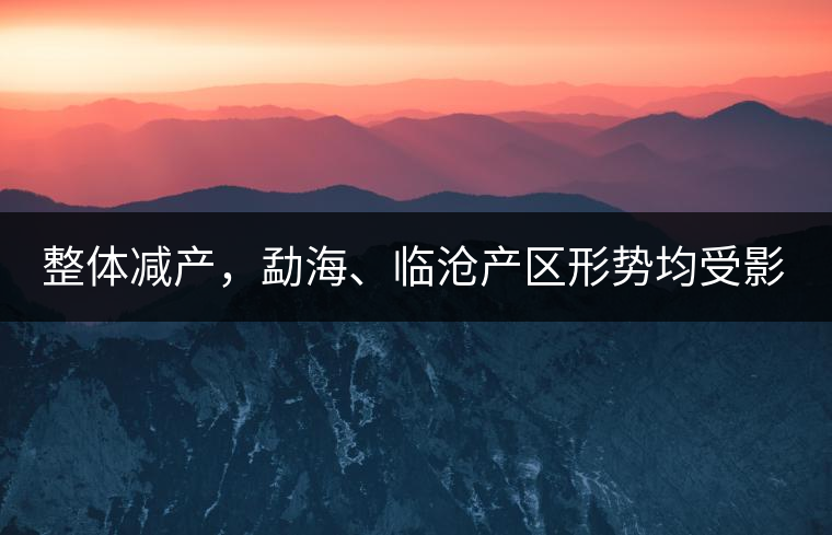 整體減產，勐海、臨滄產區(qū)形勢均受影響