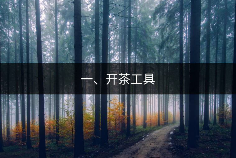 一、開(kāi)茶工具