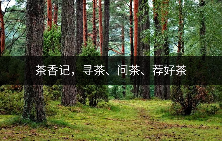 茶香記，尋茶、問茶、薦好茶