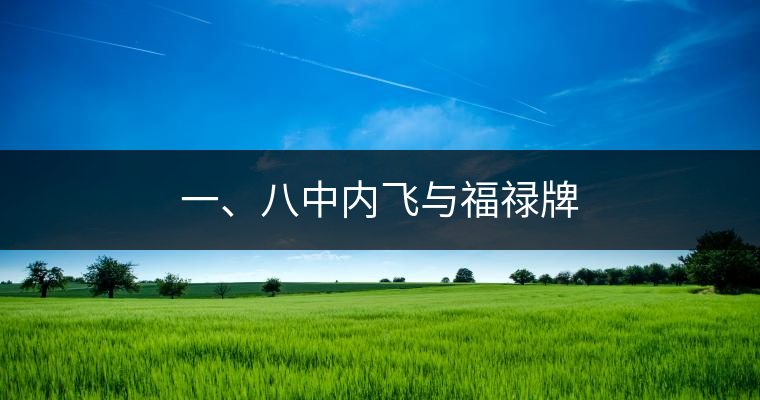 一、八中內(nèi)飛與福祿牌