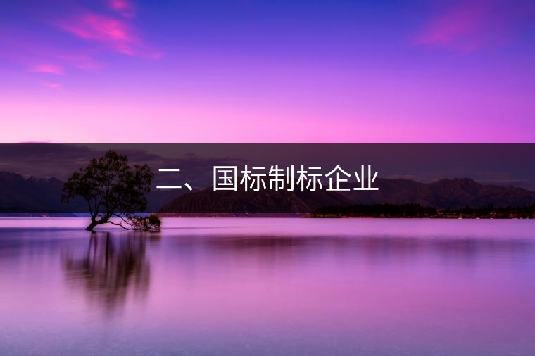 二、國標(biāo)制標(biāo)企業(yè)