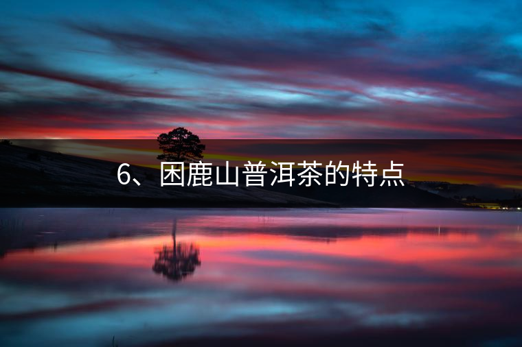 6、困鹿山普洱茶的特點